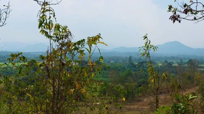 ขายที่ดิน โลเคชั่นทะเลหมอก บนเนินเขา ติดถนนลาดยาง เอกสารโฉนดครุฑแดง
