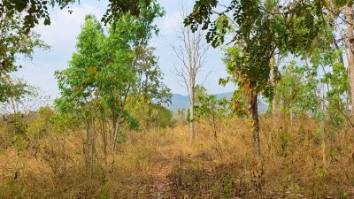 ขายที่ดิน โลเคชั่นทะเลหมอก บนเนินเขา ติดถนนลาดยาง เอกสารโฉนดครุฑแดง
