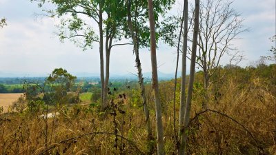 ขายที่ดิน โลเคชั่นทะเลหมอก บนเนินเขา ติดถนนลาดยาง เอกสารโฉนดครุฑแดง