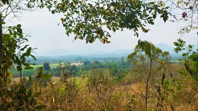 ขายที่ดิน โลเคชั่นทะเลหมอก บนเนินเขา ติดถนนลาดยาง เอกสารโฉนดครุฑแดง