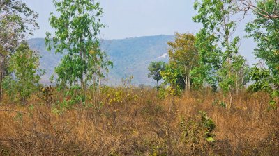 ขายที่ดิน โลเคชั่นทะเลหมอก บนเนินเขา ติดถนนลาดยาง เอกสารโฉนดครุฑแดง