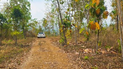 ขายที่ดิน โลเคชั่นทะเลหมอก บนเนินเขา ติดถนนลาดยาง เอกสารโฉนดครุฑแดง