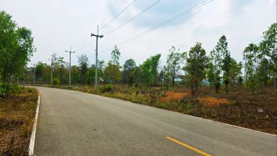 ขายที่ดิน โลเคชั่นทะเลหมอก บนเนินเขา ติดถนนลาดยาง เอกสารโฉนดครุฑแดง