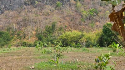 ที่ดินติดภูเขา ท่ามกลางพื้นที่เกษตร ใกล้ชุมชนหมู่บ้าน
