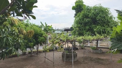 ขายบ้านเดี่ยวพร้อมที่ดิน 150 ตร.วา น้ำไม่ท่วม อ.จอมบึง จ.ราชบุรี ราคาเพียง 2,600,000 บาท เท่านั้น!