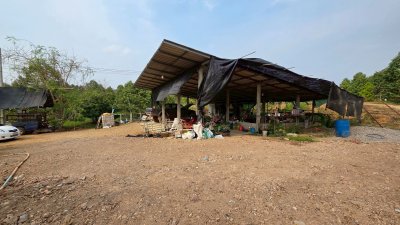 ขายสวนทุเรียน อำเภอหนองหญ้าปล้อง เอกสารโฉนดครุฑแดง 20ไร่ 1งาน