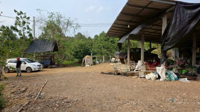 ขายสวนทุเรียน อำเภอหนองหญ้าปล้อง เอกสารโฉนดครุฑแดง 20ไร่ 1งาน