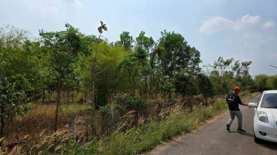ที่ดิน ปลูกป่า ติดถนนลาดยาง วิวภูเขา สายรักธรรมชาติ พื้นที่เกษตรโอโซนสีเขียว