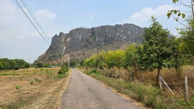 ที่ดิน ปลูกป่า ติดถนนลาดยาง วิวภูเขา สายรักธรรมชาติ พื้นที่เกษตรโอโซนสีเขียว