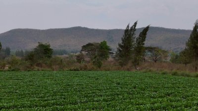 แปลงนี้ถูก และวิวสวย สไตล์คนชอบเขา ที่ดินวิวเขา ราคา 250,000 บาท