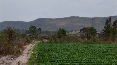 แปลงนี้ถูก และวิวสวย สไตล์คนชอบเขา ที่ดินวิวเขา ราคา 250,000 บาท