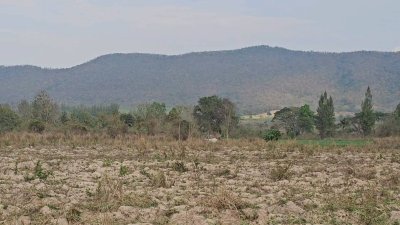 แปลงนี้ถูก และวิวสวย สไตล์คนชอบเขา ที่ดินวิวเขา ราคา 250,000 บาท