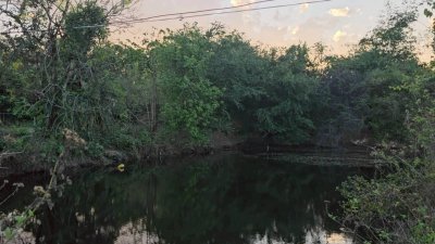 ที่ดินโฉนดพร้อมบ้าน 4 ไร่ 2,000,000 บาท และโรงเรือนเพาะเห็ด ,สวนผสมผสาน ติดคลองชลประทาน