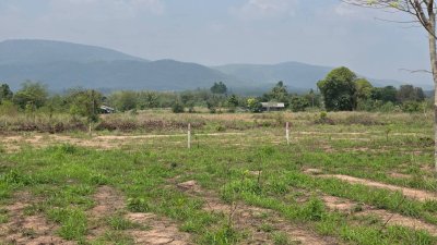 ขายเอกสาร น.ส.3 ก ครุฑเขียว ขายราคาไร่ละ 320,000 บาท