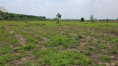 ขายเอกสาร น.ส.3 ก ครุฑเขียว ขายราคาไร่ละ 320,000 บาท