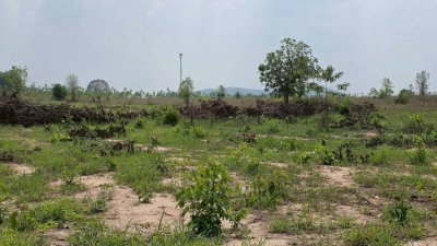 ขายเอกสาร น.ส.3 ก ครุฑเขียว ขายราคาไร่ละ 320,000 บาท