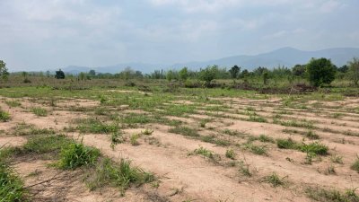 ขายเอกสาร น.ส.3 ก ครุฑเขียว 3 ไร่ 2 งาน 12 ตร.วา