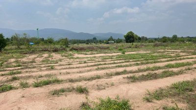 ขายเอกสาร น.ส.3 ก ครุฑเขียว 3 ไร่ 2 งาน 12 ตร.วา