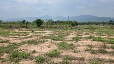 ขายเอกสาร น.ส.3 ก ครุฑเขียว 3 ไร่ 2 งาน 12 ตร.วา