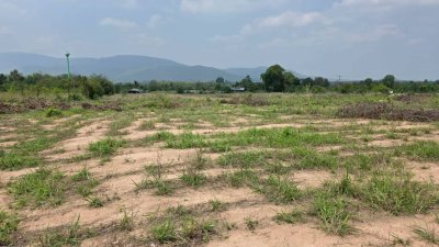 ขายเอกสาร น.ส.3 ก ครุฑเขียว 3 ไร่ 2 งาน 12 ตร.วา