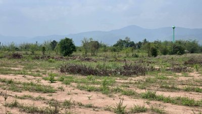 ขายเอกสาร น.ส.3 ก ครุฑเขียว 3 ไร่ 2 งาน 12 ตร.วา