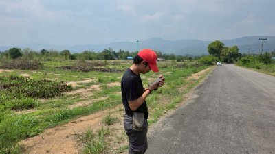 หน้าที่ดินติดถนนลาดยาง 40 เมตร น.ส.3 ก ครุฑเขียว 3 ไร่