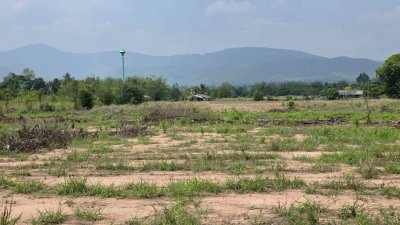 หน้าที่ดินติดถนนลาดยาง 40 เมตร น.ส.3 ก ครุฑเขียว 3 ไร่