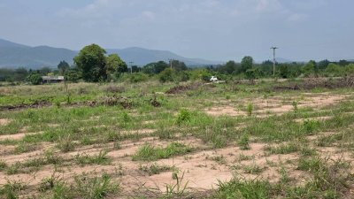 หน้าที่ดินติดถนนลาดยาง 40 เมตร น.ส.3 ก ครุฑเขียว 3 ไร่