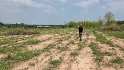 หน้าที่ดินติดถนนลาดยาง 40 เมตร น.ส.3 ก ครุฑเขียว 3 ไร่