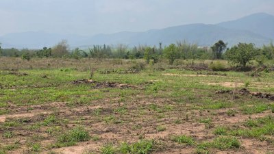 ขายเอกสาร น.ส.3 ก ครุฑเขียว ขายราคาไร่ละ 320,000 บาท