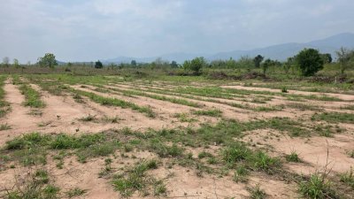 หน้าที่ดินติดถนนลาดยาง 40 เมตร น.ส.3 ก ครุฑเขียว 3 ไร่