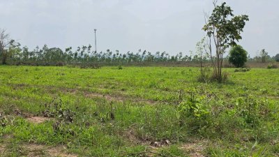 ขายเอกสาร น.ส.3 ก ครุฑเขียว ขายราคาไร่ละ 320,000 บาท