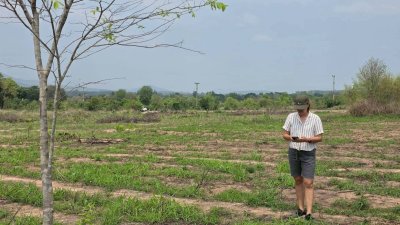 ขายเอกสาร น.ส.3 ก ครุฑเขียว ขายราคาไร่ละ 320,000 บาท