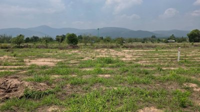 ขายเอกสาร น.ส.3 ก ครุฑเขียว ขายราคาไร่ละ 320,000 บาท