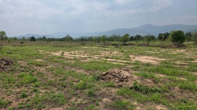 ขายเอกสาร น.ส.3 ก ครุฑเขียว ขายราคาไร่ละ 320,000 บาท