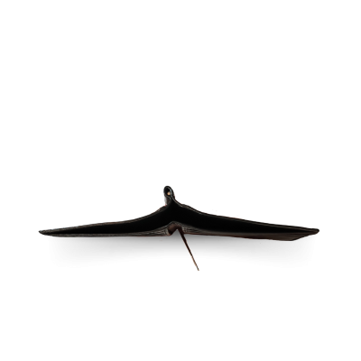 CACMC011SY : CROCODILE BELLY LEATHER MONEY CLIP