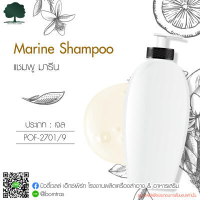 รับผลิตครีม สร้างแบรนด์ แชมพู สูตรอ่อนโยน (Marine Shampoo) 1000 กรัม 1 ชิ้น