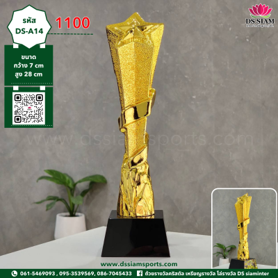 โล่รางวัลดาวเด่น