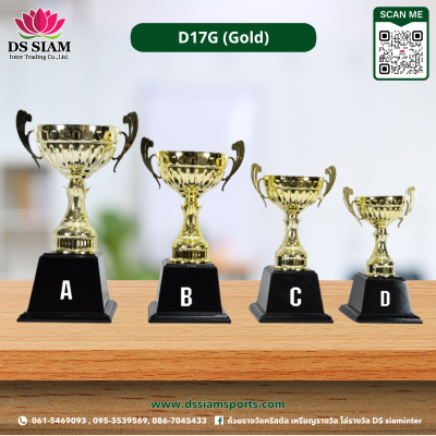 ถ้วยรางวัลซิงค์ ถ้วยรางวัลซิงค์