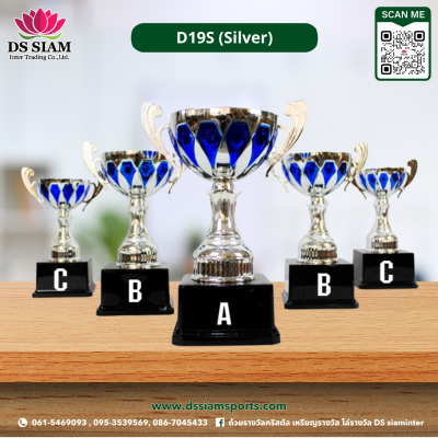 ถ้วยรางวัลซิงค์ ถ้วยรางวัลซิงค์