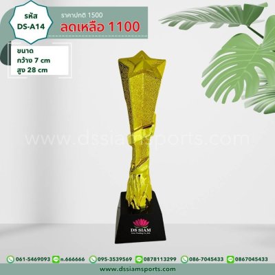 โล่รางวัลดาวเด่น