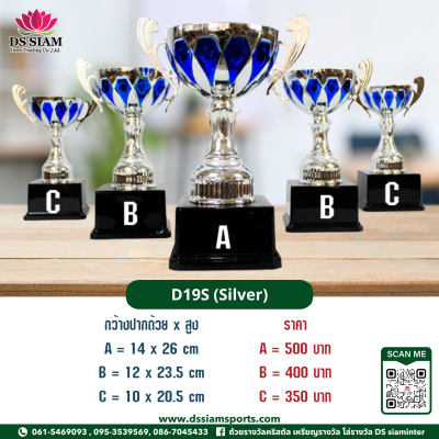 ถ้วยรางวัลซิงค์ ถ้วยรางวัลซิงค์