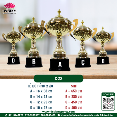 ถ้วยรางวัลซิงค์