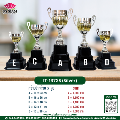 ถ้วยรางวัลซิงค์