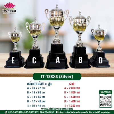 ถ้วยรางวัลซิงค์