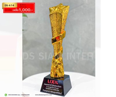 โล่รางวัลดาวเด่น