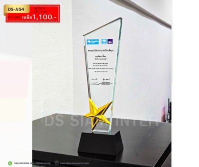 โล่รางวัลคริสตัลหัวตัดDS-A54