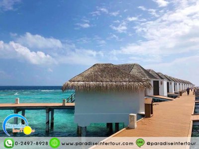 ทัวร์มัลดีฟส์ : Dream Land  Unique  Resort & Spa