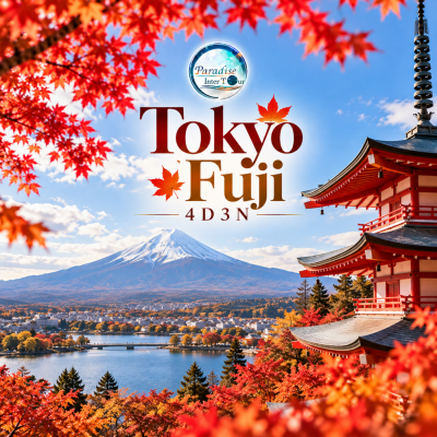 Tokyo – Fuji Autumn Private Tour 4D3N