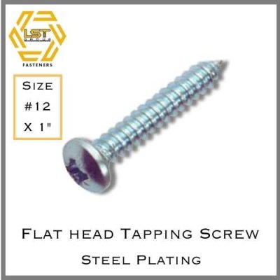 สกรูเกลียวปล่อยเหล็กชุบขาว หัว P Self Tapping Screw PH #12 X 1"